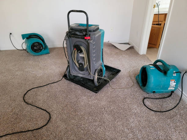 Best Carpet water damage restoration  in Zillah, WA