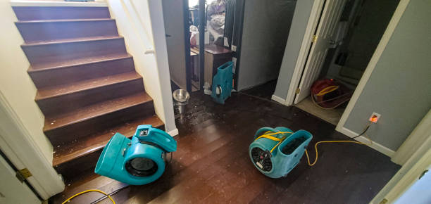 Professional Water damage restoration in Zillah, WA