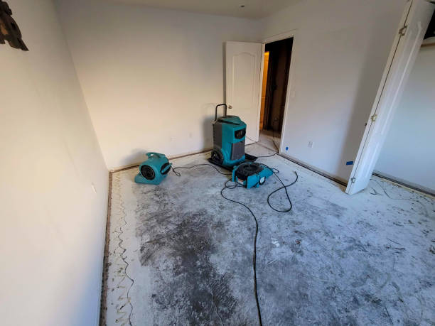 Best Mold removal after water damage  in Zillah, WA