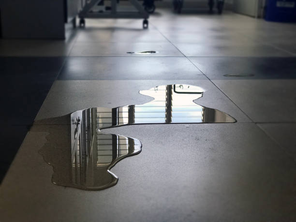 Best Local water damage restoration  in Zillah, WA