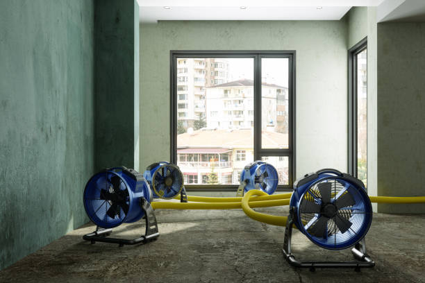 Local water damage restoration in Zillah, WA
